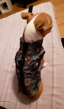 Ropa de invierno para mascotas, atuendo con chaleco cálido para perros pequeños, abrigo para perro, Chihuahua acolchado, a prueba de viento, 20