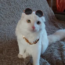 Productos para mascotas encantador redondo Vintage gato gafas de sol reflejo ojo gafas para perro pequeño gato accesorios fotos de mascotas accesorios