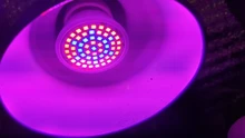 Bombilla Led para cultivo, lámpara de crecimiento hidropónica Phyto B22, E27, MR16 de espectro completo, UV de 220V, planta E14, plantones de flores Fitolamp GU10