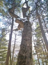 NAIERDI 1-24 Uds Auto adhesivo de pierna de muebles de alfombrilla para los pies almohadillas de fieltro alfombrilla antideslizante parachoques amortiguador para mesa Silla de Protector de Hardware