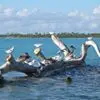 m***t