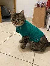 Vest Costume Pets-Sweater Dog-Coat T-Shirt Kitty For Cats Outfit Clothing Pet-Dog Dogs