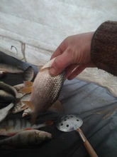 ViewEye Pantalla de 4.3  pulgadas IPS LCD, localizador de peces portátil, cámara de pesca, cámara de vídeo equipos de localizador de peces, conjunto de cámara de pesca, aparejos de pesca, mejor regalo, Envío gratis