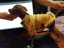 Traje para perros con estampado de animales, abrigo suave de algodón para mascotas, Jersey, camisa, chaqueta, suéter, ropa para mascotas