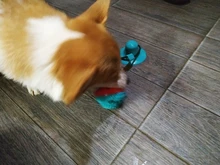 Pet Dog Toys Silicon Suction Cup Tug dog toy Dogs Push Ball Toy Pet Tooth Cleaning Dog