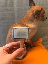 Los perros removedor de pelo del cepillo de aseo para gatos de madera cachorro perro grande peines Pet peine para pulgas perro derramamiento peine gato suministros