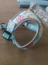 personalized Reflective Dog Cat Harness Vest Pet Adjustable Walking Leash Set for Puppy