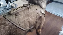 Vest Dog-Harness German-Shepherd Dogs Pet-Military-Training Molle Tactical Medium 