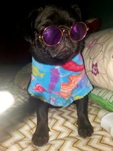 Gafas de sol para gatos y mascotas adorables, lentes de protección ocular para mascotas, accesorios de decoración de modelado redondo