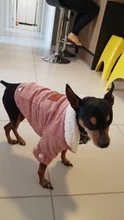 French Bulldog Small Dogs Pugs Winter For Chihuahua Outfit Pink Warm Clothing Roupa Pet-38s2