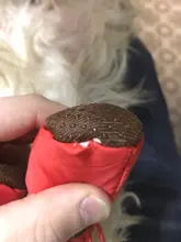 Pet-Shoes Snow-Boots Yorkie Anti-Slip Dogs Chihuahua Small Winter for Cats Reflective