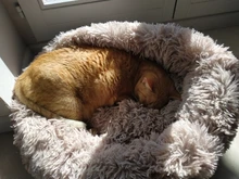 Camas redondas para gatos, casa de felpa suave y larga, La mejor cama de perro para canasta para perros, productos para mascotas, cojín, cama para gato, esterilla para animales, sofá para dormir