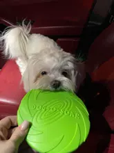 Pet-Ufo-Toys Rubber Interactive-Toy Trainning Flying-Discs Large Dog Small Puppy Fetch