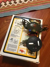 RC animales insectos juguetes de simulación de araña mosca abeja cangrejo Ladyb mantis eléctrico robot de juguete broma de día de brujas de los insectos juguetes de los niños