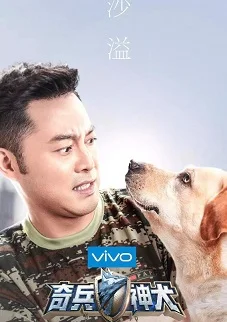 奇兵神犬 完整版全集在线看 唐人街影院 海外华人影视网站 在线高清播放