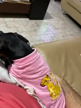 Sudadera con capucha para Perro, Ropa de invierno para mascotas, abrigo, Chaqueta de algodón, Ropa para Bulldog Francés