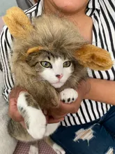 Disfraz de perro o gato Peluca de melena de León, gorro para gato, perro, ropa de Halloween y Navidad, vestido de lujo con orejas, ropa para mascotas