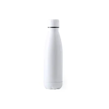 

Bottle Stainless steel (700 Ml) 146164
