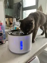 Fuente de agua automática para gatos y perros, alimentador para beber con filtro de carbón activo, tazón de bebida, dispensador eléctrico para gatos con alimentación USB fonte de agua para gato bebederos para perros