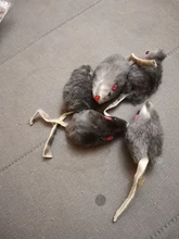 Pet-Toys Tail-Mice False-Mouse Sound Cat Real-Rabbit-Fur 5pcs Soft with for Dogs Long-Haired