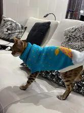 Cute Cat Sweater Costume Winter Warm Pet Clothes Cat Clothing for Cats Katten Kedi Giyim