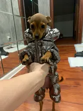 Jacket Clothing Puppy Small Dogs Waterproof Winter Overalls Pet-Coat Dog-Jumpsuit Fleece