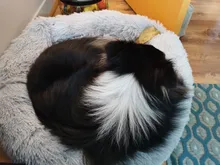 Fluffy Pet Dog Bed Soft Round Dog Long Plush Kennel For Dogs Washable Puppy Cat Bed Cushion