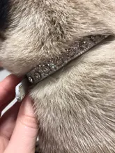 Kitten-Accessories Strap Puppy-Collar Rhinestone Diamond Baby Dog Super-Shining Hot-Sale