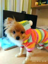 Pet Clothing Costume Outfit Pajamas Fleece Winter Apparel Small Warm 30 Four-Legs Jumpsuit