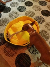 3D Washable Kennel Pet Bed For Dogs Cat House Dog Beds For Large Dogs Pets Products For