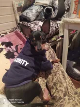 Coat Costume Hoodie Pet-Clothing Puppy Dogs Winter York Fashion Medium Small Thicken