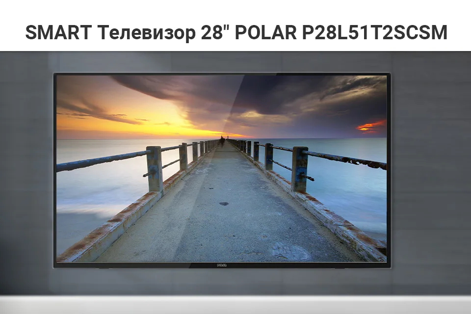 P28L51T2SCSM_03