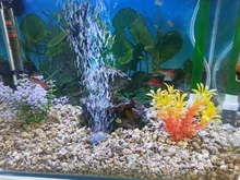 Air-Pump Bubble-Stone Tank Mini Aquarium Sucker Mute for Table-Increase Hang Low-Sound