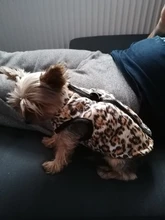 Coat Vest Jacket Puppy Outfit Pet-Dog Yorkie Chihuahua Winter Warm for Windproof Padded