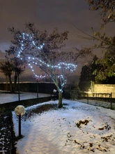 Decoration Led-String-Lights Wedding-Garland Party Holiday Outdoor 100M 20M 50M 30M Christmas