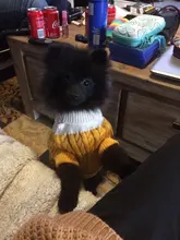 Sweater Puppy-Hoodie Dog-Jumper Winter Knited Small Cat with Cartoon-Design Warm Apparel