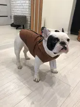 Jacket Vest Puppy-Clothing Pug-Coat Small Dogs Chihuahua Waterproof Winter Teddy Pet-Dog