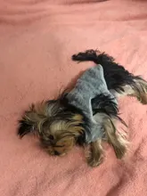 Jacket Outfits Dog Coat Pug-Costume Small Dogs Soft Chihuahua Cartoon Fleece Winter Warm