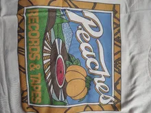 Graphic Tee T-Shirt Tapes Peaches Hipsters Grunge-Style Vintage Fashion Unisex Records