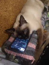 Terminales de conexión de crimpado Rj45, conector K1, K2, K3, cableado Ethernet impermeable, terminales de Cable de teléfono, 50 Uds.