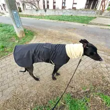 Jacket Clothing Coat Greyhound Waterproof Dog Dogs Large Super-Warm Medium Thick 