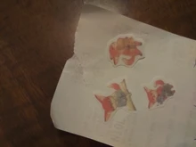 45 unids/pack de Fox zorro lindo y Hojas de arce de la etiqueta engomada de papel artesanías adhesivas palo etiqueta de la computadora portátil DIY decoración niños regalo de papelería