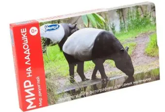 

Developing manual "the world on the palm. World of the Jungle "clever 2018