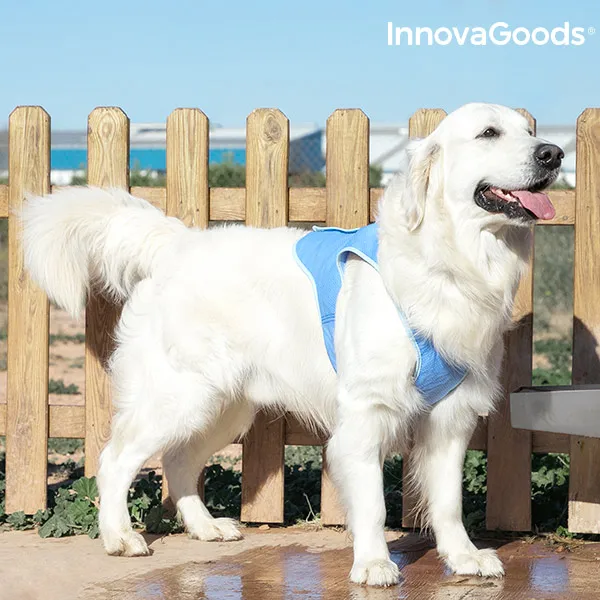 Жилет освежающий для домашних животных большой InnovaGoods-L InnovaGoods