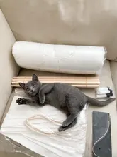 Cat Bed House Teepee Cushion Pet-Tent Puppy Available Outdoor Portable For Dog with Thick