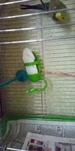 Vegetable-Holder Bird-Supply Parrot-Feeder Hanging Food-Container Plastic Fruit