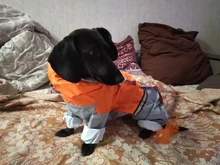 Jumpsuit Raincoat Pet-Cloak Teddy Waterproof-Jacket HOOPET Dogs Chihuahua for Small Cat