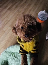 Redondo largo de peluche perro camas para perros grandes de invierno para mascotas productos cojín Super suave y esponjoso cómodo gato Mat suministros Accesorios