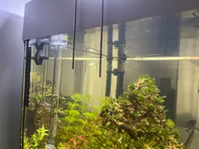 AQUARIUM-FILTER Lily-Pipe Outflow Glass Surface-Skimmer Planted NICREW And with 13mm