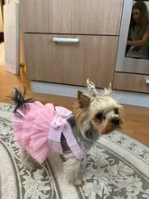 Dress Sling Puppy-Costume Pet-Dog Lace Small Dog Wedding for Party Birthday Bowknot